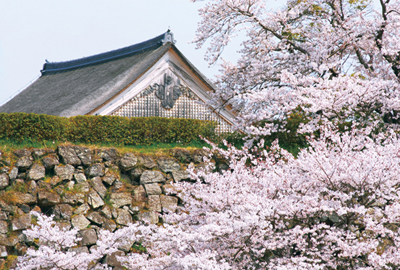 sasayama